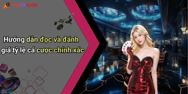 Hướng dẫn đọc và đánh giá tỷ lệ cá cược chính xác