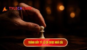 tránh bẫy tỷ lệ cá cược nhà cái