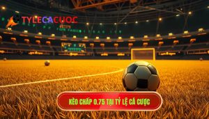 Kèo chấp 0.75 là gì? Kinh nghiệm đánh kèo 3/4 từ chuyên gia