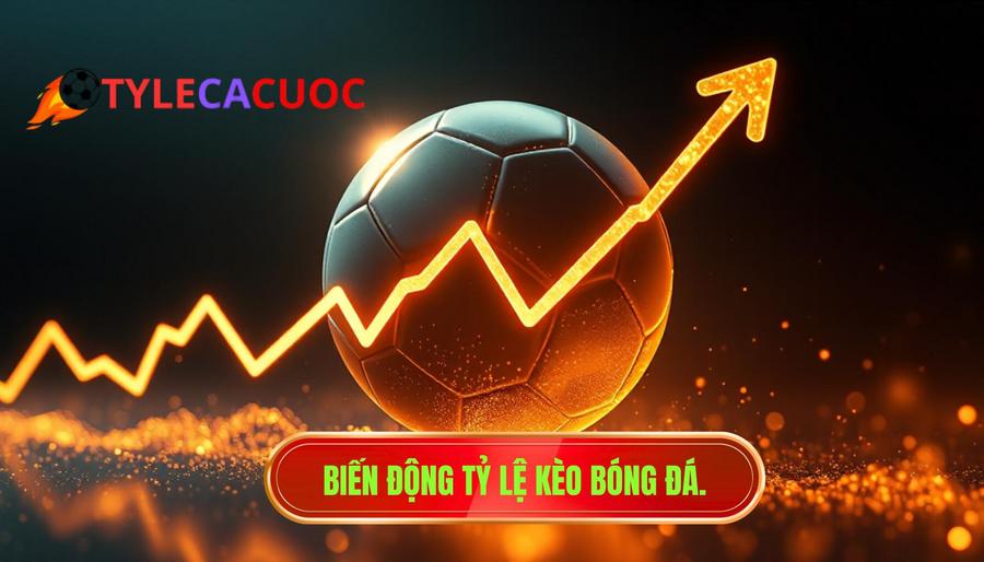 1. Biến động tỷ lệ kèo bóng đá.