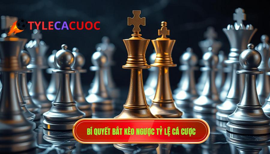 Bí quyết bắt kèo ngược TỶ LỆ CÁ CƯỢC